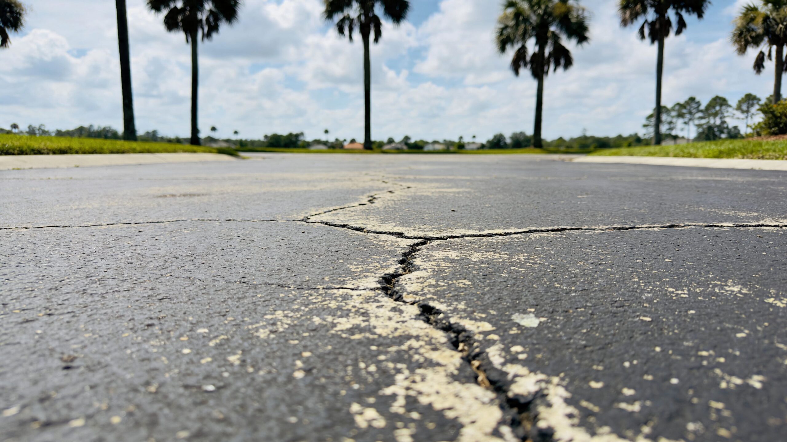 A close up view of a cracked asphalt road surface with palm trees in the background.