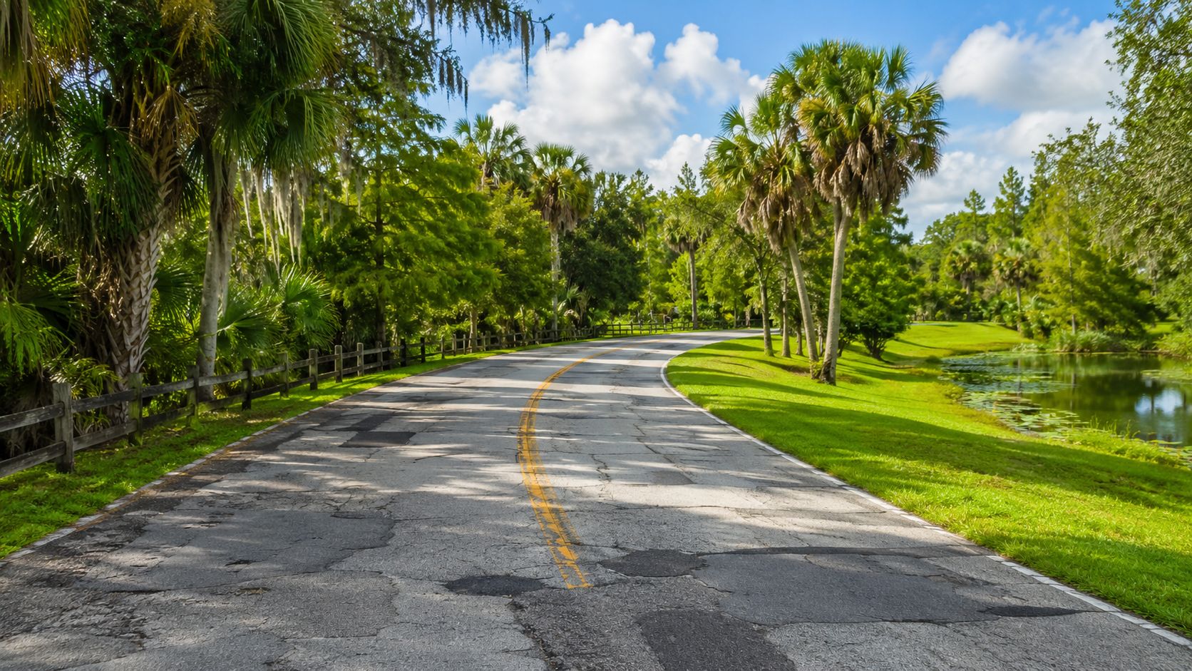 A scenic winding asphalt road in a park with palm trees and a calm pond alongside it.