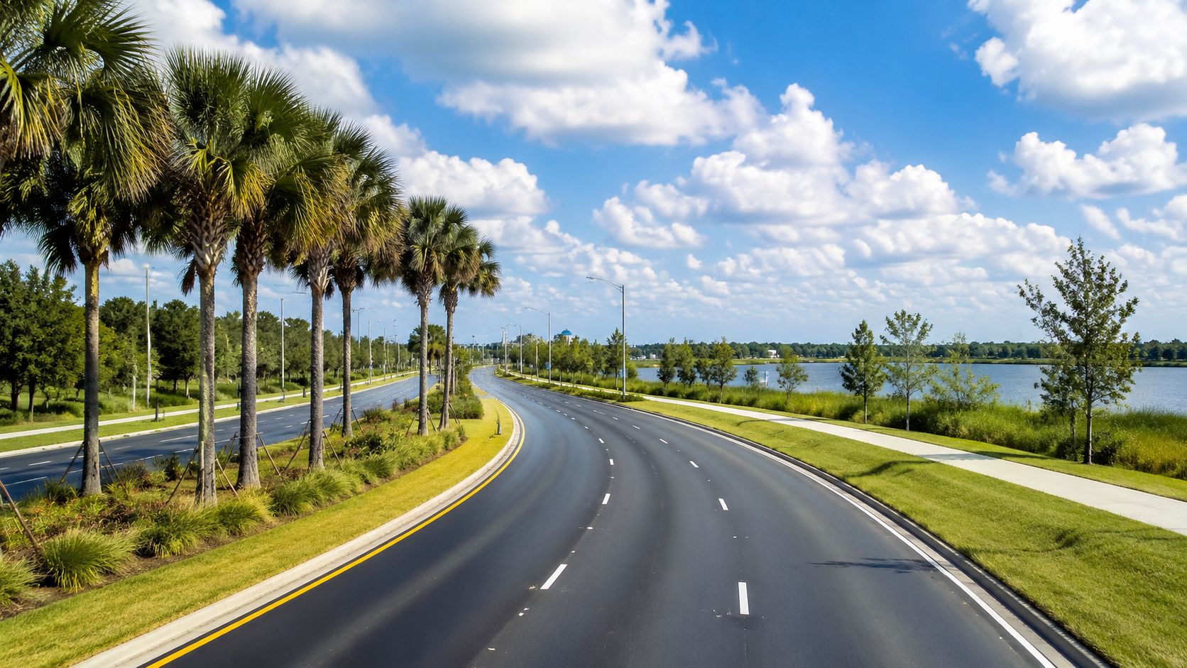 A scenic view of a paved road with palm trees along the side leading towards a lake