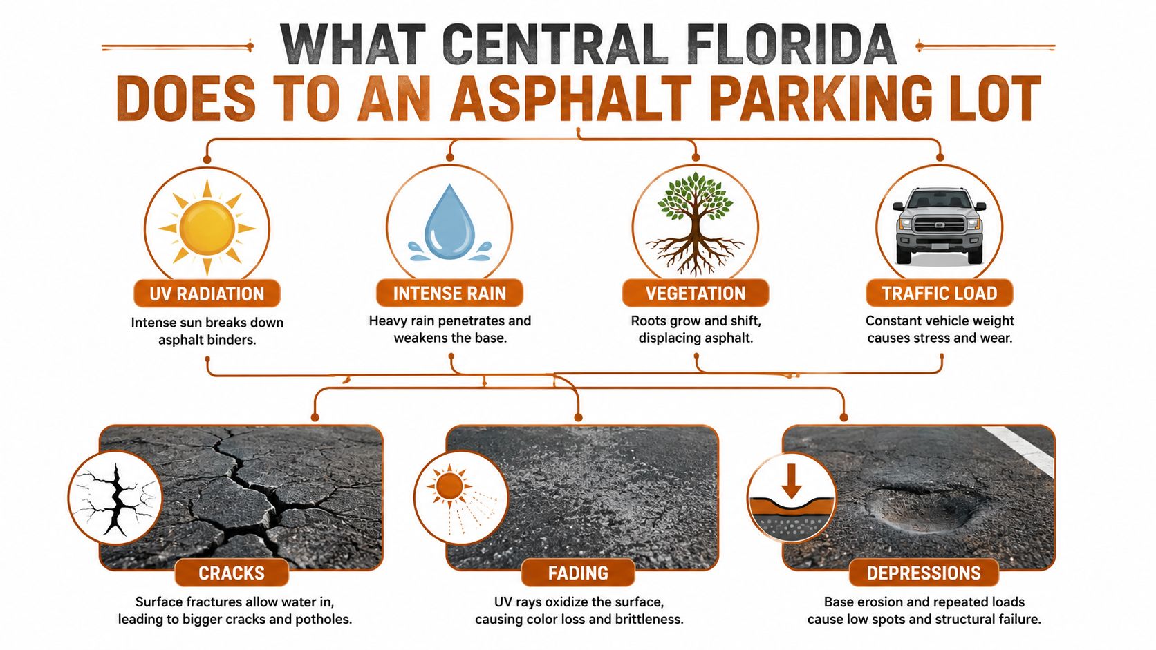 An infographic detailing environmental factors in Florida like UV rays, rain, and vegetation that damage asphalt parking lots.