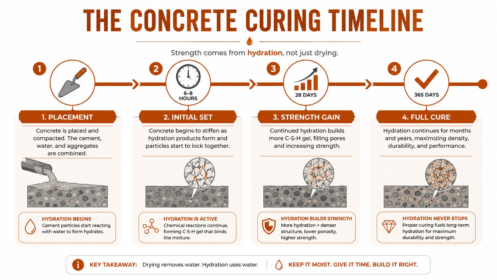 An infographic showing the four stages of the concrete curing timeline from placement to full cure.